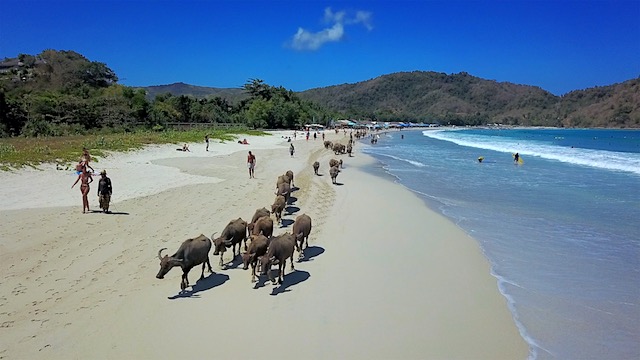 Lombok Selong Belanak Beach Bueffel