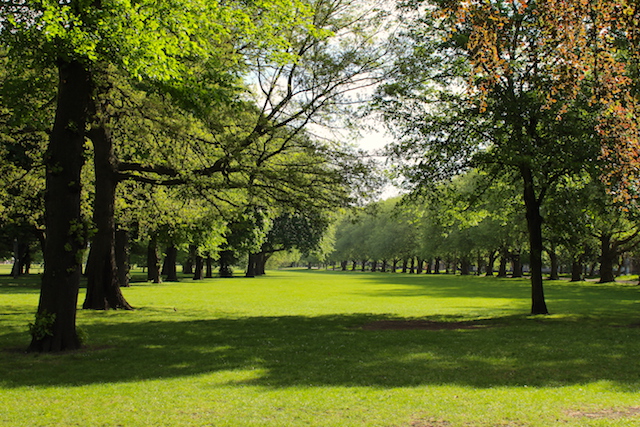 Victoria Park in London